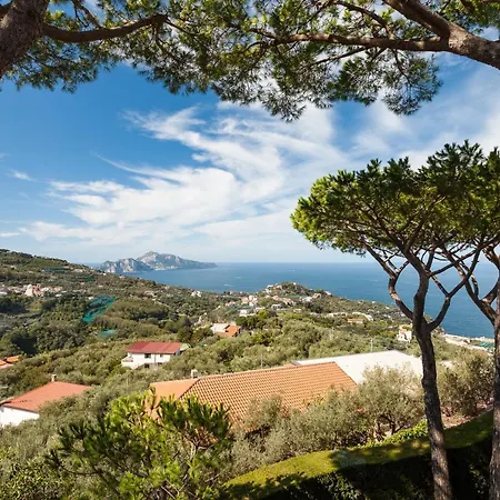 Sole Di Capri - Vista Mare Massa Lubrense