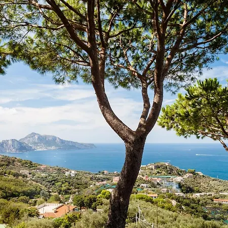 Villa Sole Di Capri - Vista Mare